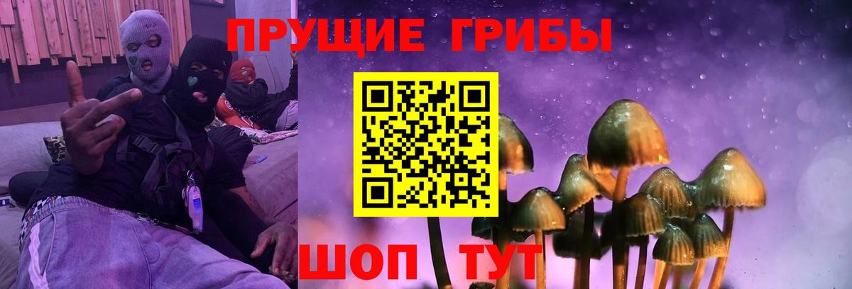 что такое наркотик  Псилоцибиновые грибы Magic Shrooms  Вход с VPN  Кохма 