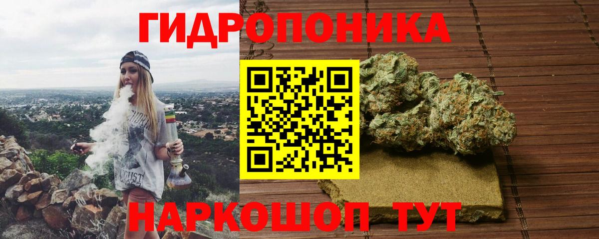 Каннабис гибрид  Вход с VPN  Шишки марихуана Bruce Banner  Бошки марихуана марихуана  Кохма 